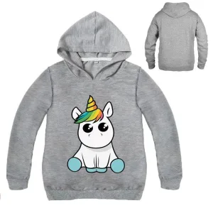 Pull Licorne Capuche Gris